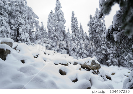 Winter landscape in the Ural Mountains 134497289