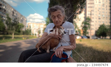 Happy senior woman holds a small dachshund dog in her arms, smiles hugs, presses and shows love to her pet on a bench in the park. Female 90 years old spends time with her best friend pet on street 134497474