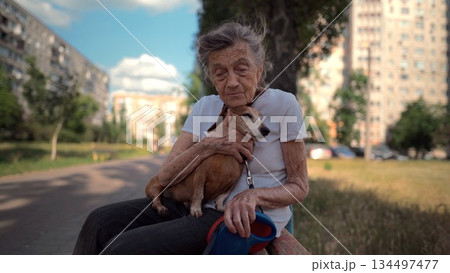 Senior 90-year-old woman with gray hair and deep wrinkles sits outdoors In assisted living facility on bench with small dachshund dog. Old female hugs and cuddles pet in the park on a bench 134497477