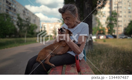 Happy senior woman holds a small dachshund dog in her arms, smiles hugs, presses and shows love to her pet on a bench in the park. Female 90 years old spends time with her best friend pet on street 134497487