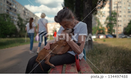 Animal theme is a lonely old woman best friend. Caucasian 90 years old senior female is happy to spend time with her pet small dachshund dog, holding her in her arms, hugging hugs and kisses outdoor 134497488