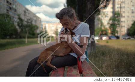 Animal theme is a lonely old woman best friend. Caucasian 90 years old senior female is happy to spend time with her pet small dachshund dog, holding her in her arms, hugging hugs and kisses outdoor 134497498