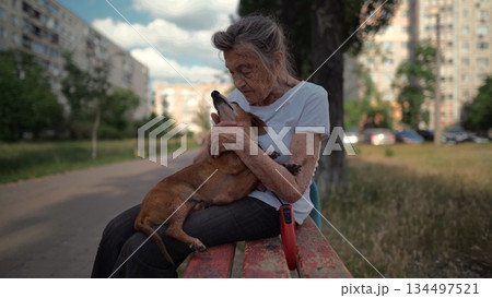 Animal theme is a lonely old woman best friend. Caucasian 90 years old senior female is happy to spend time with her pet small dachshund dog, holding her in her arms, hugging hugs and kisses outdoor Animal theme is a lonely old woman best friend. Caucasian 90 years old senior female is happy to spend time with her pet small dachshund dog, holding her in her arms, hugging hugs and kisses outdoor 134497521