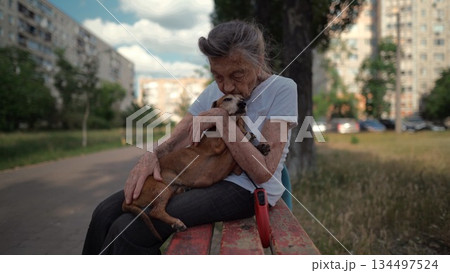 Happy senior woman holds a small dachshund dog in her arms, smiles hugs, presses and shows love to her pet on a bench in the park. Female 90 years old spends time with her best friend pet on street Happy senior woman holds a small dachshund dog in her arms, smiles hugs, presses and shows love to her pet on a bench in the park. Female 90 years old spends time with her best friend pet on street 134497524