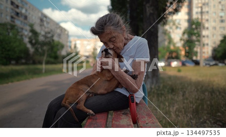 Happy senior woman holds a small dachshund dog in her arms, smiles hugs, presses and shows love to her pet on a bench in the park. Female 90 years old spends time with her best friend pet on street 134497535