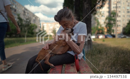 Animal theme is a lonely old woman best friend. Caucasian 90 years old senior female is happy to spend time with her pet small dachshund dog, holding her in her arms, hugging hugs and kisses outdoor Animal theme is a lonely old woman best friend. Caucasian 90 years old senior female is happy to spend time with her pet small dachshund dog, holding her in her arms, hugging hugs and kisses outdoor 134497538
