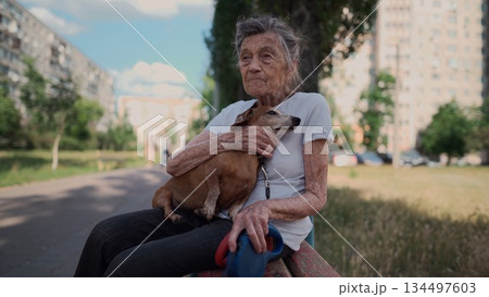Happy senior woman holds a small dachshund dog in her arms, smiles hugs, presses and shows love to her pet on a bench in the park. Female 90 years old spends time with her best friend pet on street 134497603
