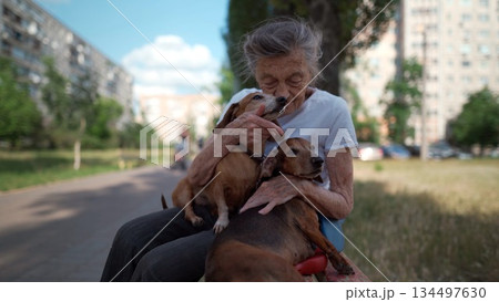 Happy senior woman holds a small dachshund dog in her arms, smiles hugs, presses and shows love to her pet on a bench in the park. Female 90 years old spends time with her best friend pet on street 134497630