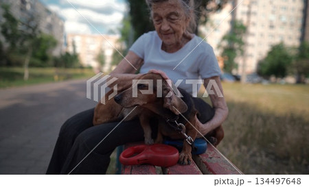Happy senior woman holds a small dachshund dog in her arms, smiles hugs, presses and shows love to her pet on a bench in the park. Female 90 years old spends time with her best friend pet on street 134497648