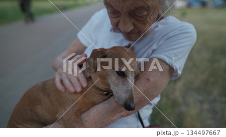 Senior 90-year-old woman with gray hair and deep wrinkles sits outdoors In assisted living facility on bench with small dachshund dog. Old female hugs and cuddles pet in the park on a bench Senior 90-year-old woman with gray hair and deep wrinkles sits outdoors In assisted living facility on bench with small dachshund dog. Old female hugs and cuddles pet in the park on a bench 134497667