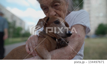Senior 90-year-old woman with gray hair and deep wrinkles sits outdoors In assisted living facility on bench with small dachshund dog. Old female hugs and cuddles pet in the park on a bench 134497671