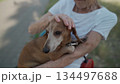 Senior 90-year-old woman with gray hair and deep wrinkles sits outdoors In assisted living facility on bench with small dachshund dog. Old female hugs and cuddles pet in the park on a bench 134497688