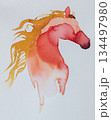 Watercolor painting of horse celebrating the Year of the Horse during New Year festivities in vibrant colors 134497980
