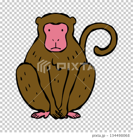 坐著的猴子 坐著的猴子 134498068