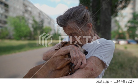 Animal theme is a lonely old woman best friend. Caucasian 90 years old senior female is happy to spend time with her pet small dachshund dog, holding her in her arms, hugging hugs and kisses outdoor Animal theme is a lonely old woman best friend. Caucasian 90 years old senior female is happy to spend time with her pet small dachshund dog, holding her in her arms, hugging hugs and kisses outdoor 134498227