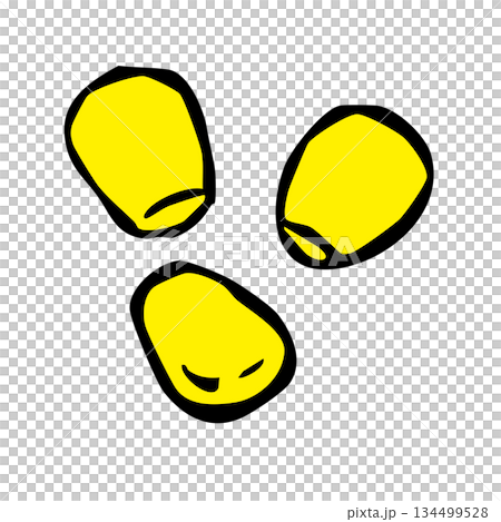 とうもろこし_粒コーン 134499528