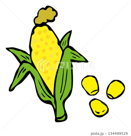 とうもろこしと粒コーン 134499529