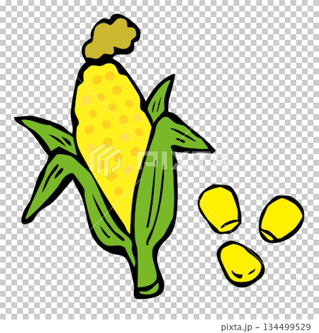 とうもろこしと粒コーン 134499529