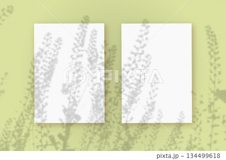 Natural light casts shadows from wildflowers on 2 vertical sheets of white paper lying on a green background. Mockup 134499618