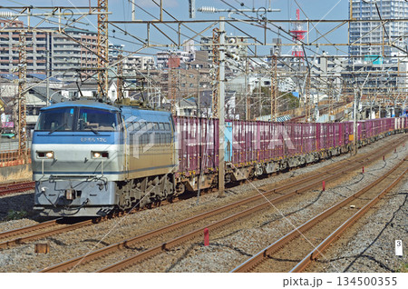 東海道本線 相模貨物 JR貨物 EF66-120(吹田) 東海道本線 相模貨物 JR貨物 EF66-120(吹田) 134500355