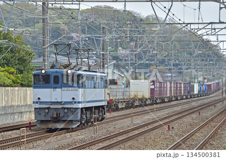 東海道本線 大磯-二宮 JR貨物 EF65-2050(新鶴見) 東海道本線 大磯-二宮 JR貨物 EF65-2050(新鶴見) 134500381