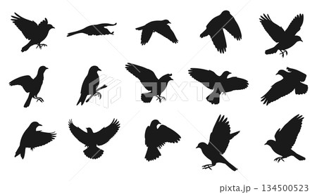 Flying birds silhouette set vector. Flock of bird shapes in flight illustration vector 134500523