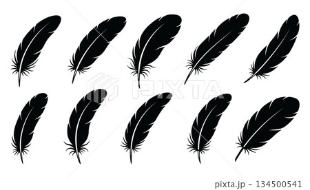 Feather silhouette collection vector. Bird quill shapes set illustration vector Feather silhouette collection vector. Bird quill shapes set illustration vector 134500541