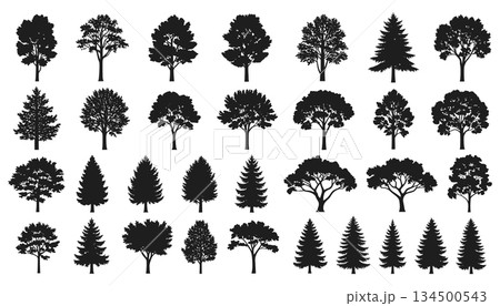 Tree species silhouette set vector. Forest woodland plant shapes collection illustration vector Tree species silhouette set vector. Forest woodland plant shapes collection illustration vector 134500543