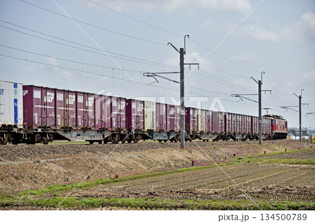 奥羽本線 八郎潟-鯉川 JR貨物 EF510(富山)+コキ107-315 奥羽本線 八郎潟-鯉川 JR貨物 EF510(富山)+コキ107-315 134500789