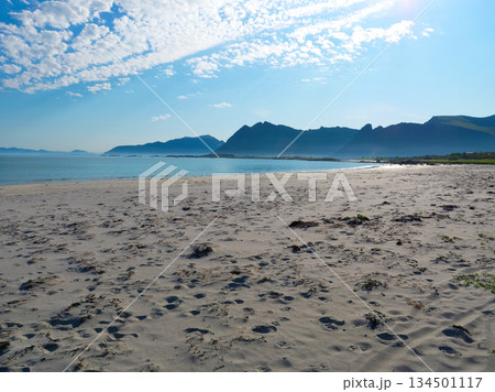 Sea coast with sandy beach,Lofoten Norway Sea coast with sandy beach,Lofoten Norway 134501117