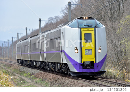 石勝線 東追分-川端 JR北海道 キハ261系1000番台 ST-1105編成 スーパーとかち 石勝線 東追分-川端 JR北海道 キハ261系1000番台 ST-1105編成 スーパーとかち 134501293