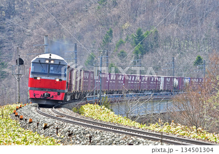 石勝線　東オサワ（信）　JR貨物　DF200-12（五稜郭） 134501304