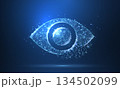 Eye. Polygonal wireframe mesh icon with crumbled edge looks like constellation. Concept illustration or background 134502099