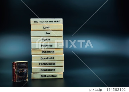 The Fruit of The Spirit Holy Bible Left Side 134502192