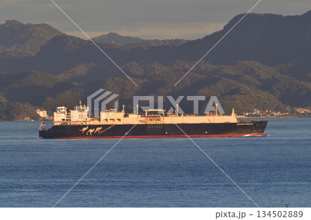 Seapeak LLC　浦賀水道　WOODSIDE DONALDSON 134502889