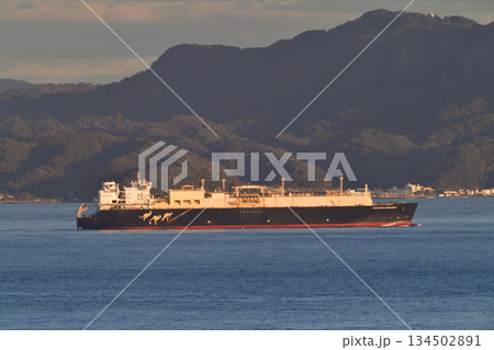 Seapeak LLC　浦賀水道　WOODSIDE DONALDSON 134502891