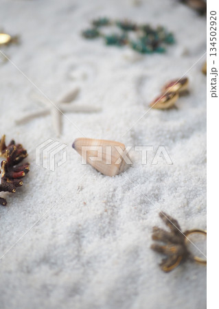 Beach with shells, jewelry, and marine items 134502920