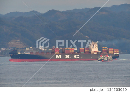 SYNERGY MANAGEMENT SERVICES　浦賀水道　MSC ANTONIA 134503030