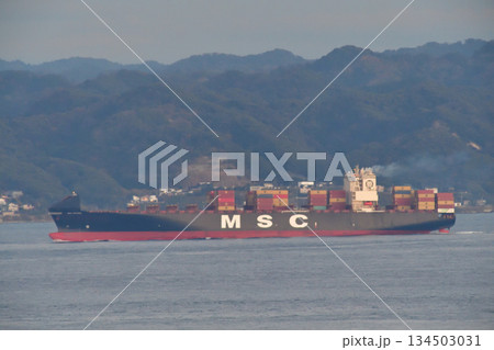 SYNERGY MANAGEMENT SERVICES　浦賀水道　MSC ANTONIA 134503031