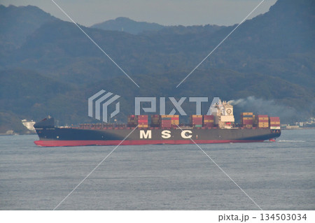 SYNERGY MANAGEMENT SERVICES　浦賀水道　MSC ANTONIA 134503034