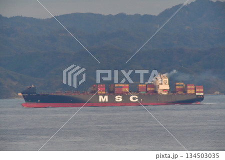 SYNERGY MANAGEMENT SERVICES　浦賀水道　MSC ANTONIA 134503035