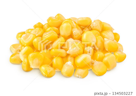 corn seeds isolated on white background with full depth of field corn seeds isolated on white background with full depth of field 134503227