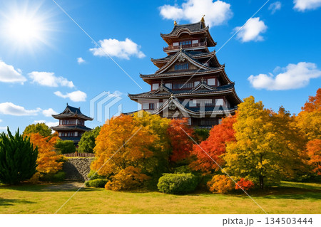 伏見桃山城 伏見桃山城 134503444