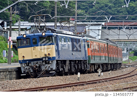 中央本線　上野原　JR東日本　EF64-1031（長岡）＋115系　T1040編成（高崎）　廃回 134503777