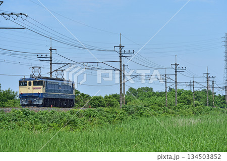 中央本線　東川口－東浦和　JR貨物　EF65-2068（新鶴見） 134503852