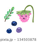 A lovely educational illustration for children featuring berries. 134503878