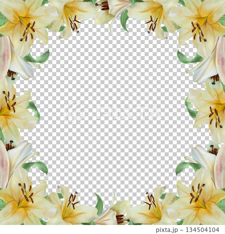 White lilies frame. Hand drawn watercolor illustration of pastel flowers isolated. Wedding invitations and birthday cards. Suitable for Valentines Day, Annunciation, Easter, Epiphany and funerals. 134504104