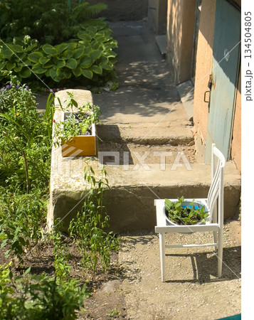 Serene garden scene, Tranquil garden area illuminated by warm afternoon sunlight Serene garden scene, Tranquil garden area illuminated by warm afternoon sunlight 134504805
