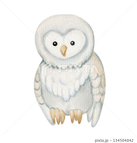 Watercolor cute owl character for winter and New Year, Christmas design. Perfect for nursery decor, kids card, holiday illustration, baby shower and cozy seasonal theme. 134504842