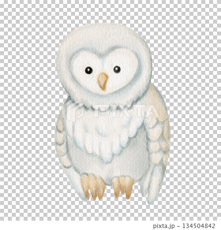 Watercolor cute owl character for winter and New Year, Christmas design. Perfect for nursery decor, kids card, holiday illustration, baby shower and cozy seasonal theme. 134504842